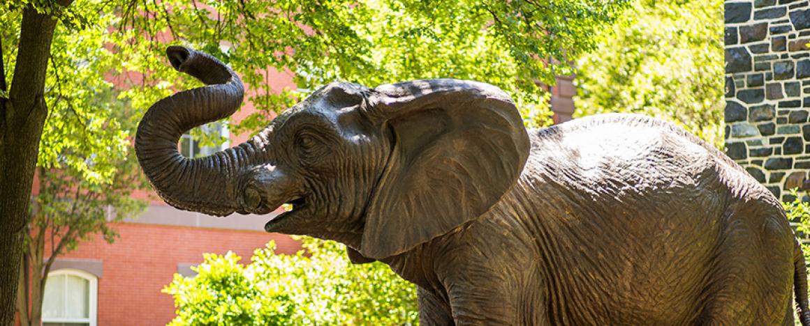 Jumbo elephant statue on Tufts University campus