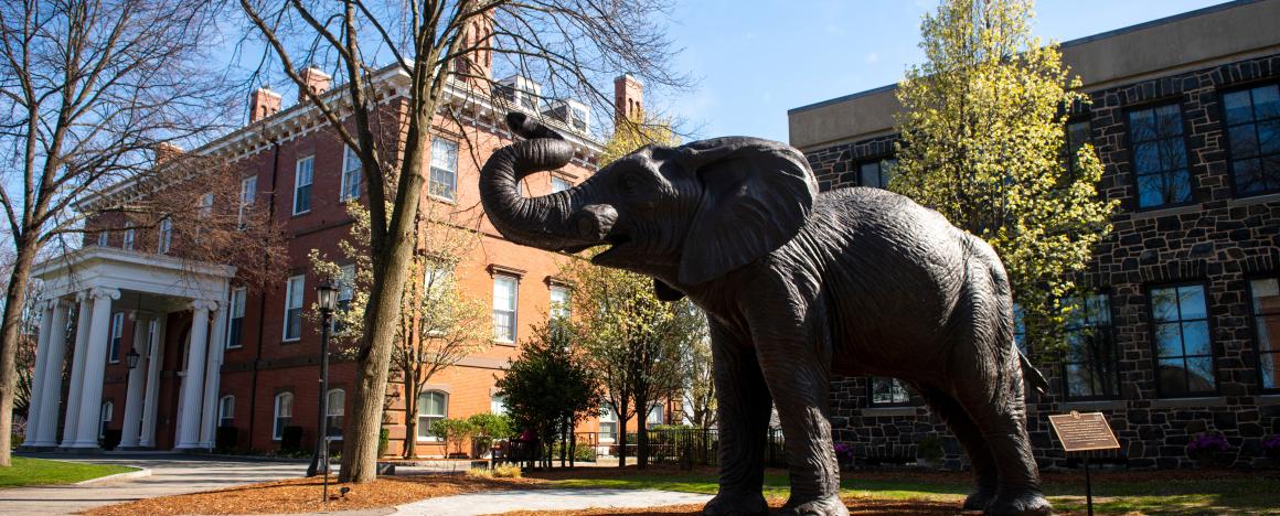 Jumbo elephant statue on Tufts campus